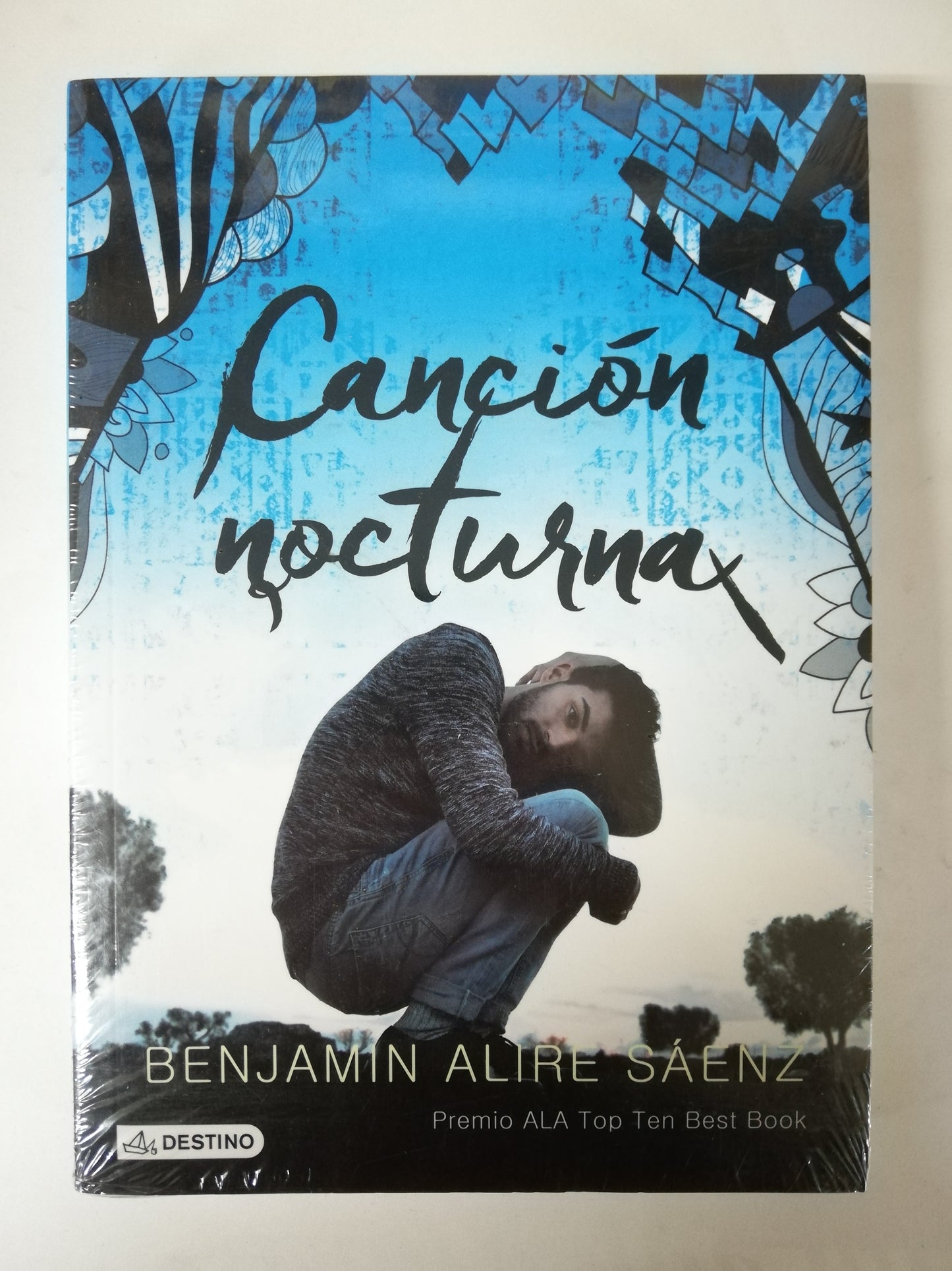 CANCIÓN NOCTURNA - BENJAMIN ALIRE SAENZ