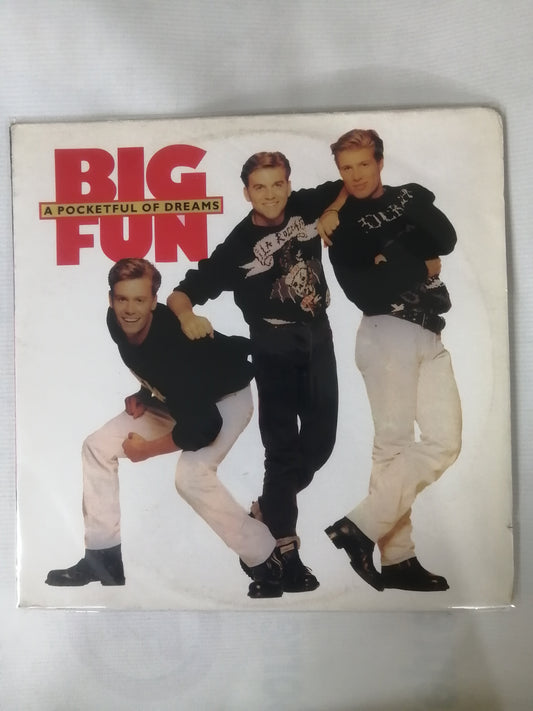 LP BIG FUN - A POCKETFUL OF DREAM