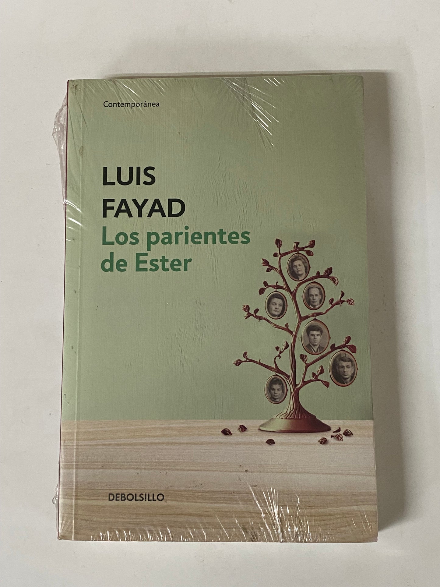 LOS PARIENTES DE ESTER- LUIS FAYAD