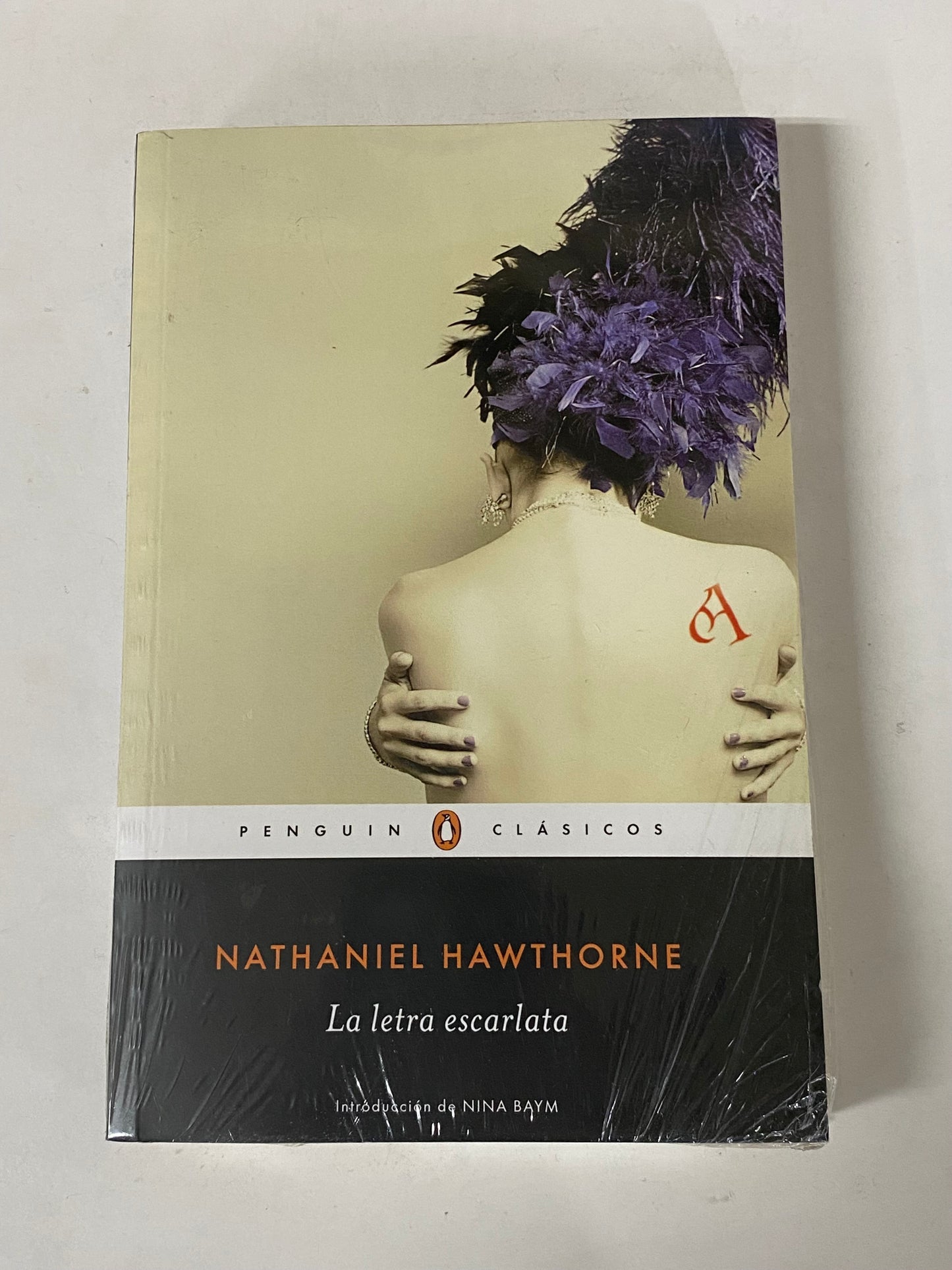 LA LETRA ESCARLATA- NATHANIEL HAWTHORNE