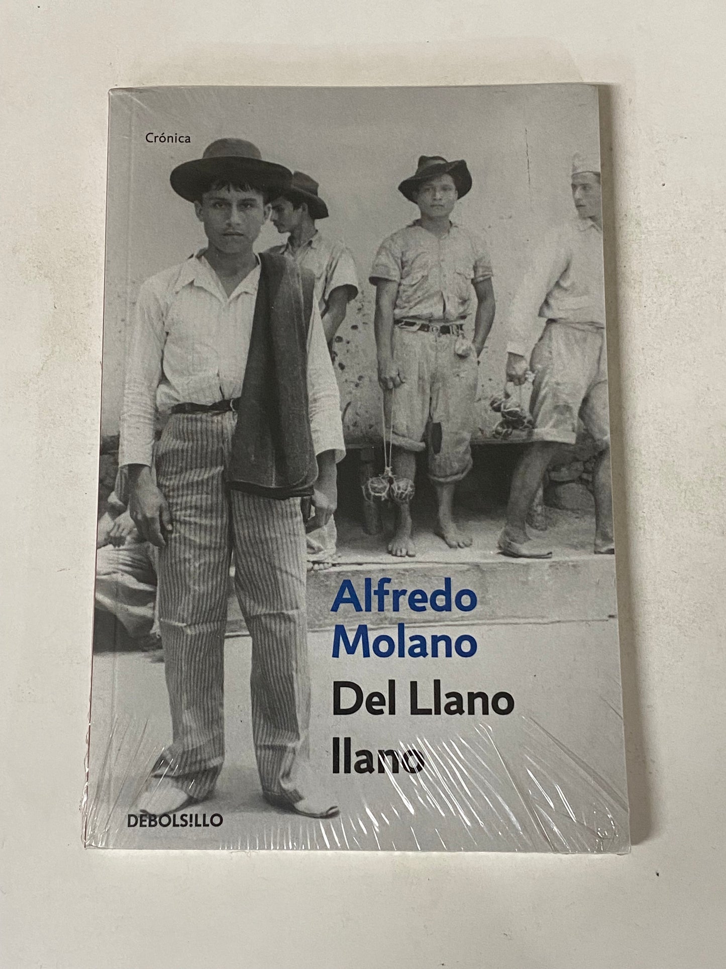 DEL LLANO LLANO- ALFREDO MOLANO