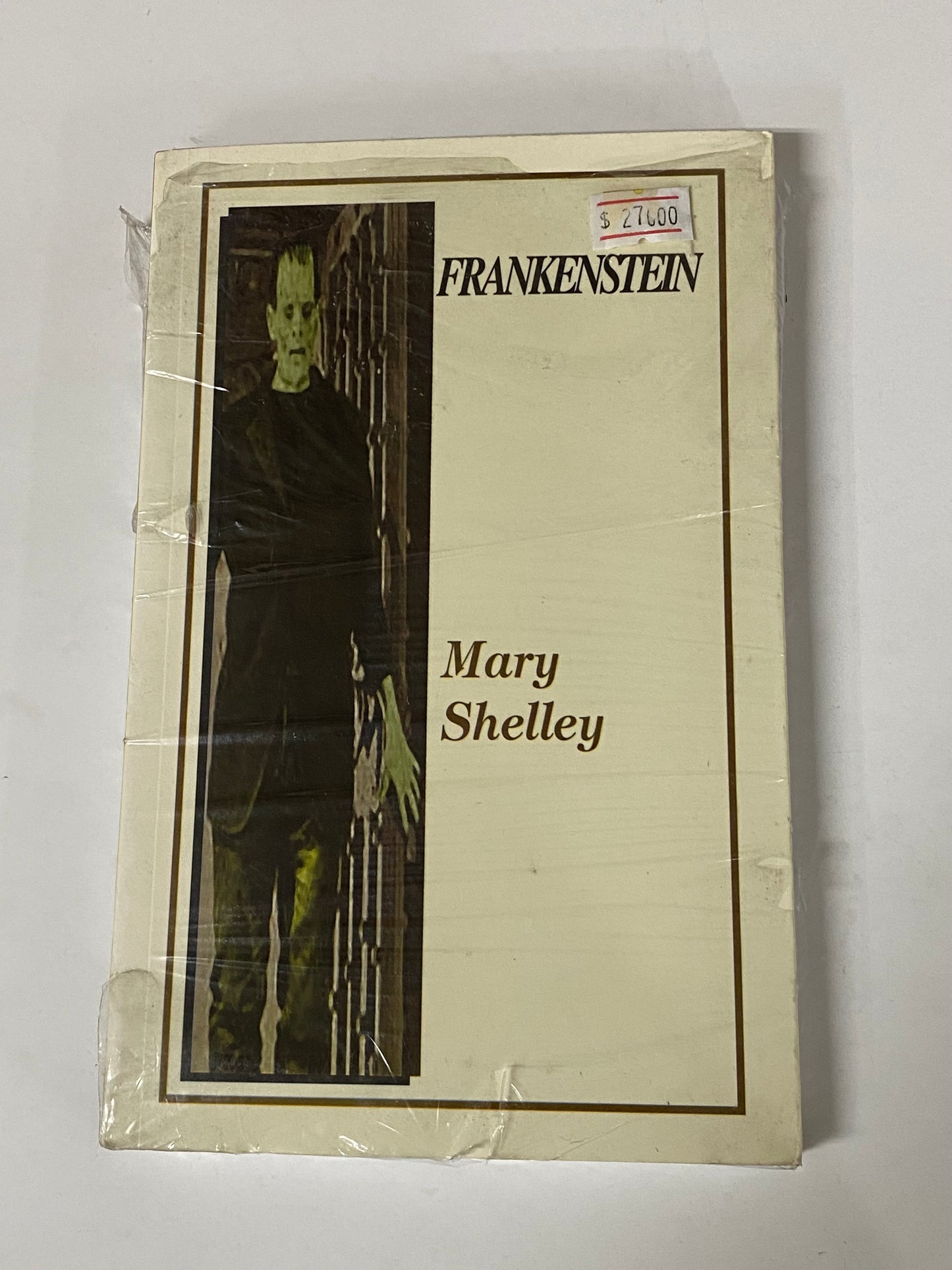 FRANKENSTEIN- MARY SHELLY