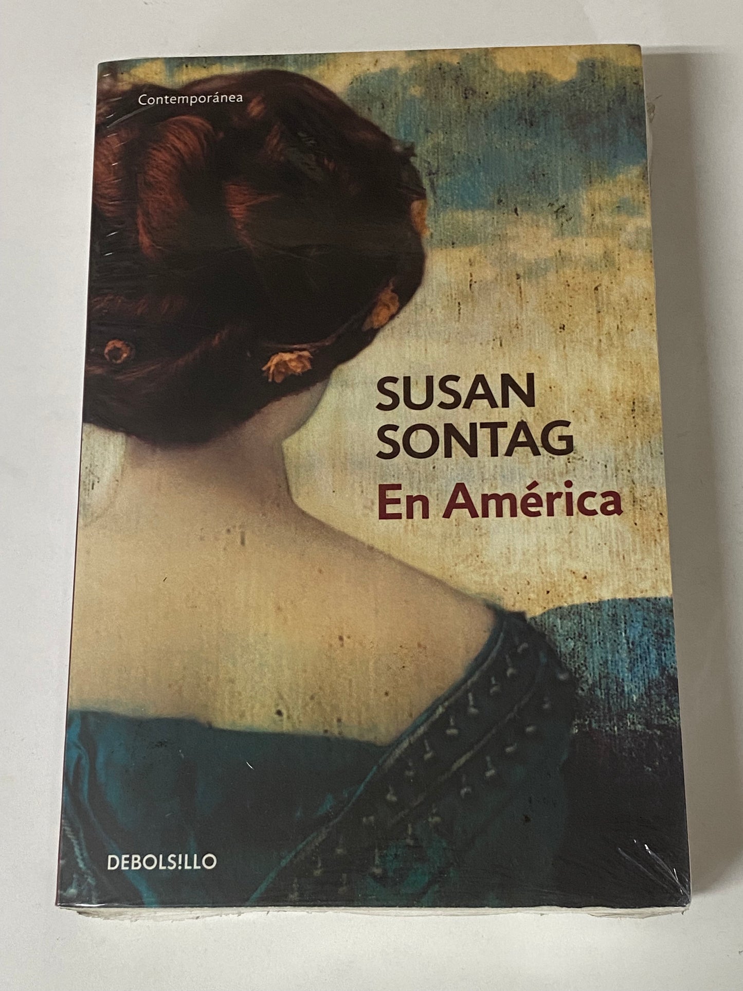 EN AMERICA- SUSAN SONTAG