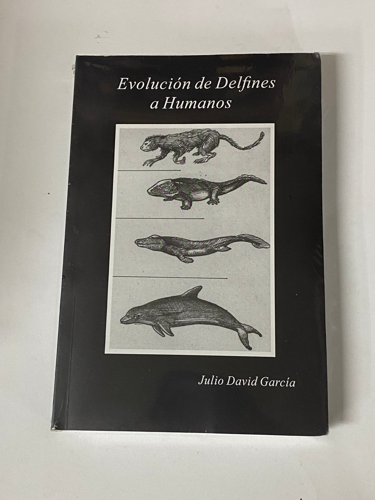 EVOLUCION DE DELFINES A HUMANOS- JULIO DAVID GARCIA