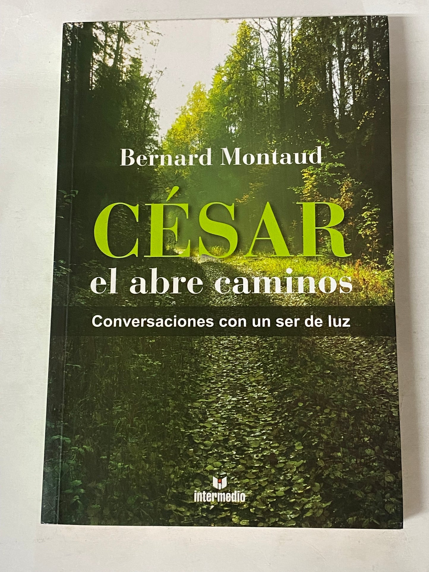 CESAR EL ABRE CAMINOS- BERNARD MONTAUD