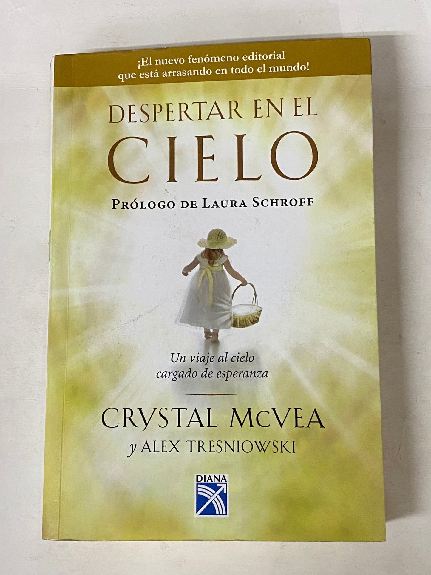 DESPERTAR EN EL CIELO- CRYSTAL MCVEA