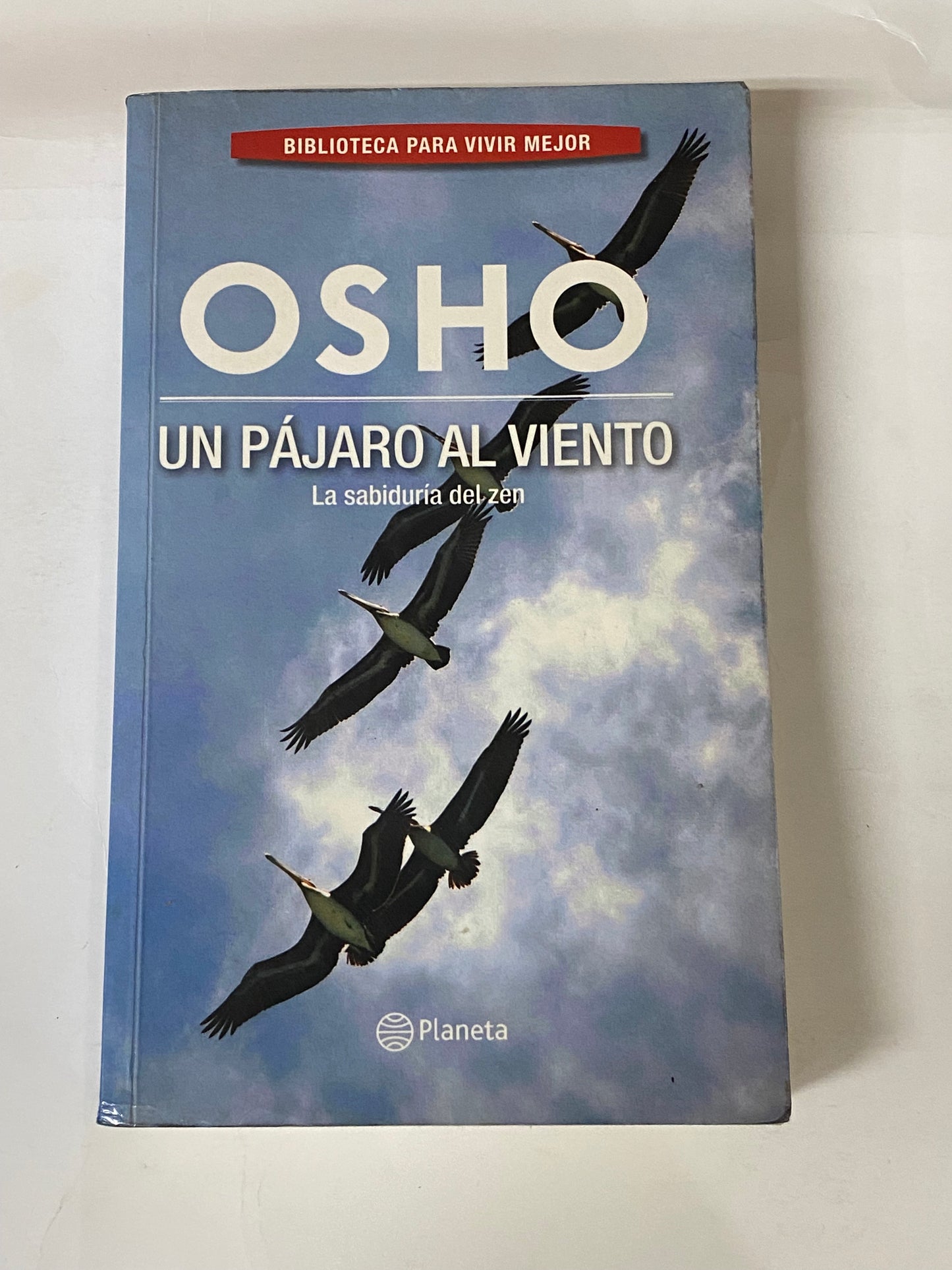 UN PAJARO AL VIENTO- OSHO