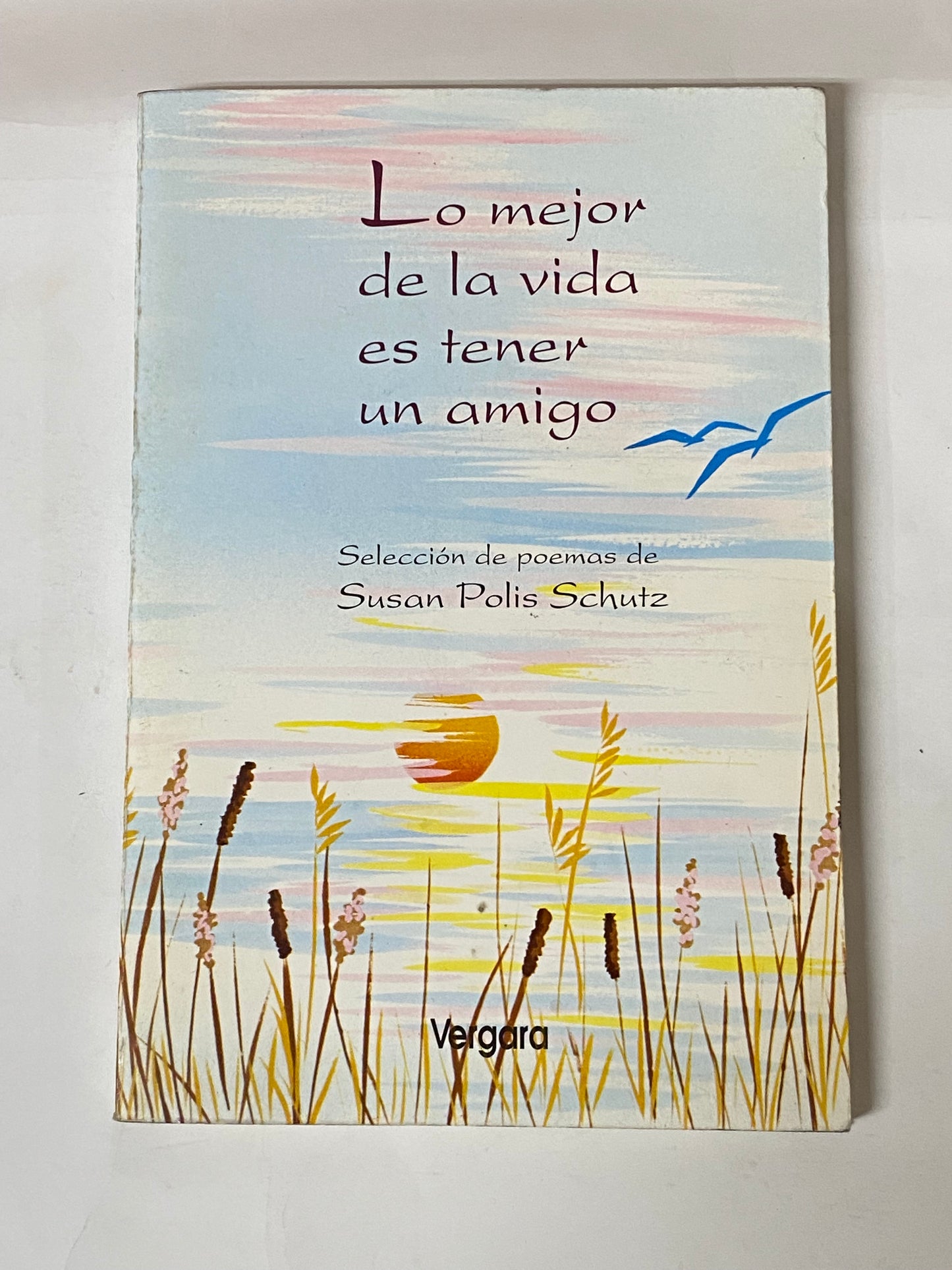 LO MEJOR DE LA VIDA ES TENER UN AMIGO- SUSAN POLIS