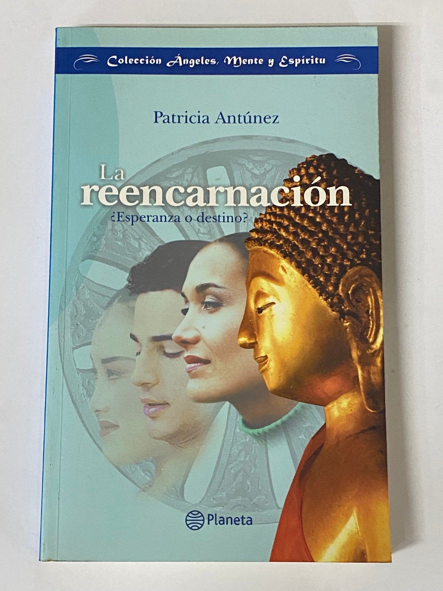 LA REENCARNACION- PATRICIA ANTUNEZ