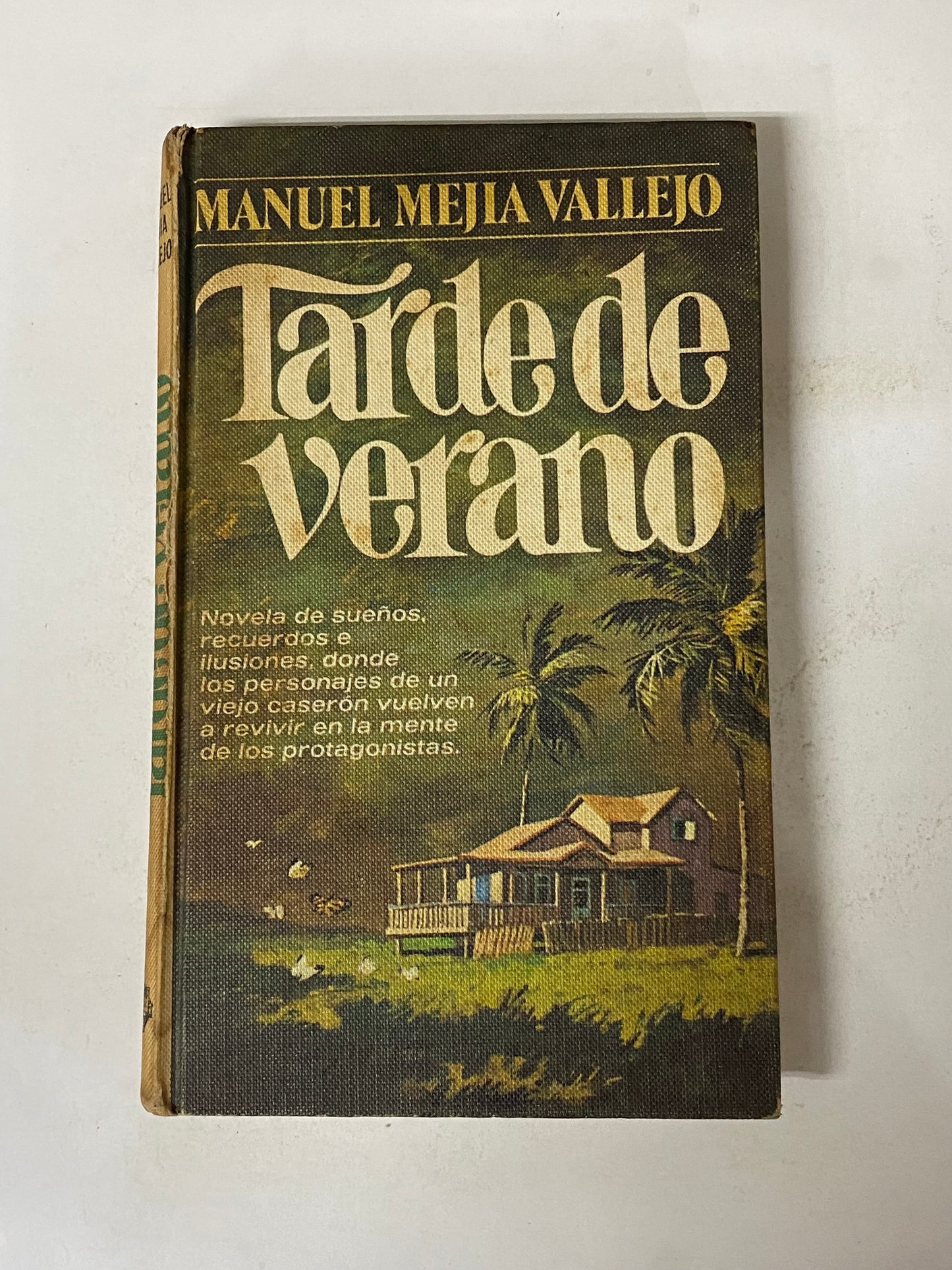 TARDE DE VERANO- MANUEL MEJIA VALLEJO